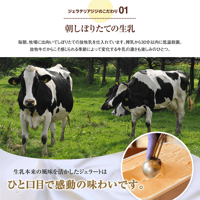 【定期便3回】 ジェラテリアGigi イタリアンジェラート 季節限定 ジェラート 2000ml 焼きりんご さくら いちご レモン 栗 ティーラテ 業務用 2L スイーツ 定期便 隔月発送 3回 ふるさと納税 北海道 恵庭【43007601】