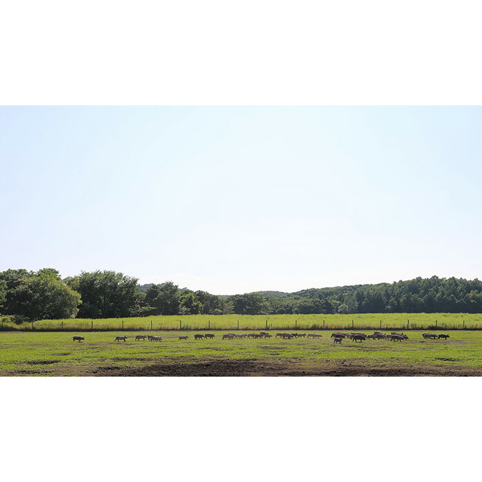 放牧豚使用のとんかつ店「こな雪とんとん」お食事券 3,000円分 | 放牧豚 とんかつ　食事券　お食事券 ランチ ディナー 北海道旅行 えこりん村 旅行 お出かけ レストラン 飲食店 チケット　お取り寄せ 北海道　恵庭市　恵庭【45001】