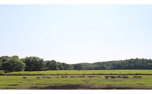 放牧豚使用のとんかつ店「こな雪とんとん」お食事券 3,000円分 | 放牧豚 とんかつ　食事券　お食事券 ランチ ディナー 北海道旅行 えこりん村 旅行 お出かけ レストラン 飲食店 チケット　お取り寄せ 北海道　恵庭市　恵庭【45001】