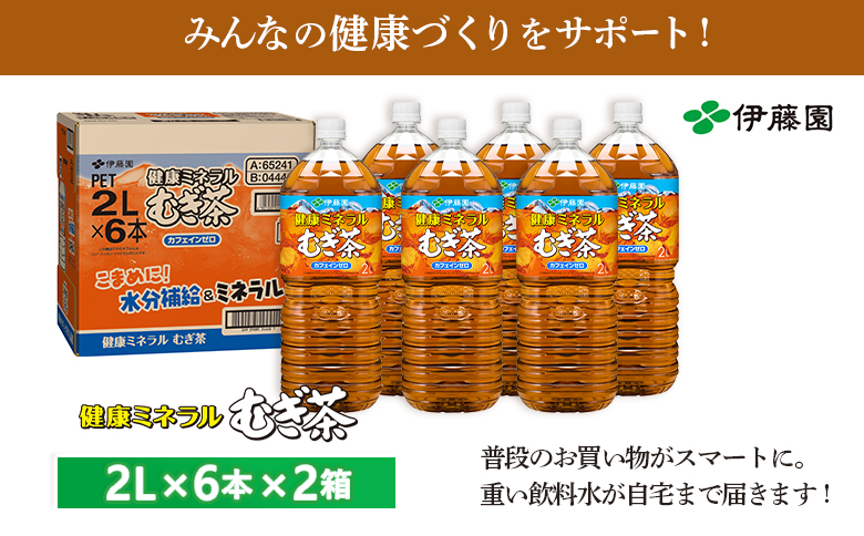 健康ミネラル麦茶2L×6本×2箱【500004】