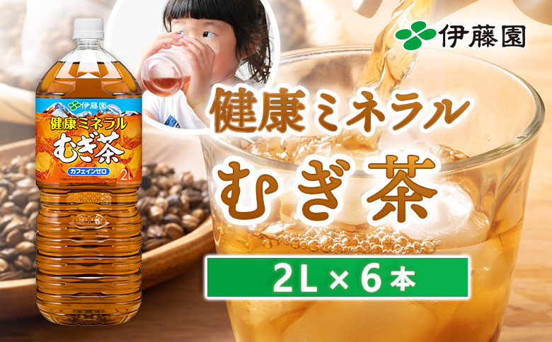 健康ミネラルむぎ茶2L×6本【500007】