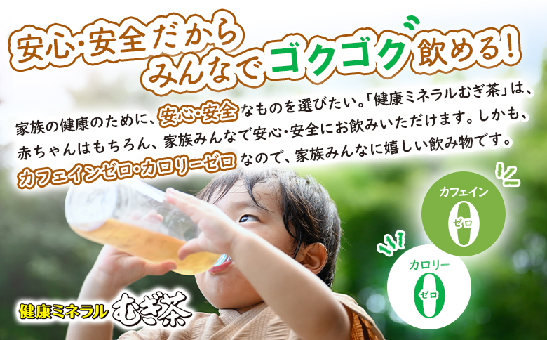 『定期便：全10回』健康ミネラルむぎ茶2L×6本×2箱【500022】