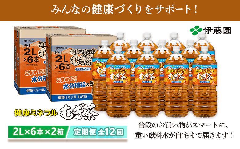 『定期便：全12回』健康ミネラル麦茶2L×6本×2箱【500024】