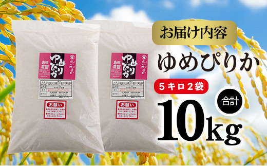 「恵庭産たつやのゆめぴりか」10kg（5kg×2袋）【56000101】