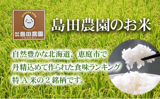 【定期便：全6回】北海道米「恵庭産たつやのななつぼし・ゆめぴりか」各5kgセット【56000401】