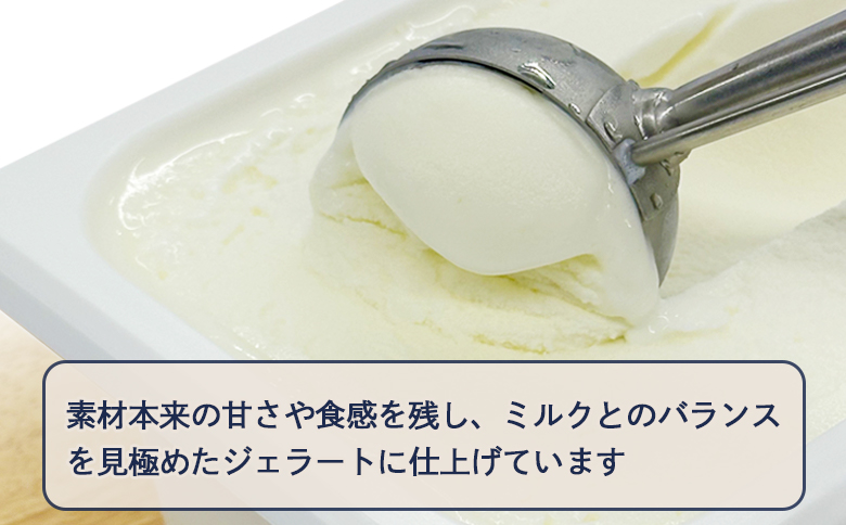 自家製ジェラート 2L（ミルク）｜ジェラート アイス ミルク 2L 2リットル LicoLico リコリコ 北海道 恵庭市 恵庭 ふるさと納税 ギフト スイーツ 詰合わせ お取り寄せ 内祝い 北海道ふるさと納税【60006101】