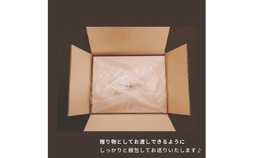 熟成紅はるか1kg(真空ひやし焼き芋)【64000101】