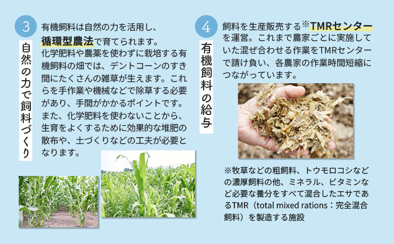 配送地域限定 定期便5回  明治オーガニック牛乳 900ml 3本｜定期便 明治 牛乳 オーガニック オーガニック牛乳 オンライン 申請 ミルク みるく 牛乳 ふるさと納税 健康 体にいい 乳製品 生乳 乳 牛 お取り寄せ 北海道 恵庭市 恵庭【730018】