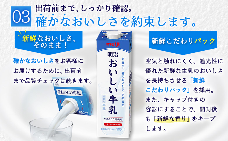 配送地域限定 定期便12回 明治おいしい牛乳 900ml 2本｜定期便 明治 牛乳 おいしい牛乳 オンライン 申請 ふるさと納税 ミルク みるく 牛乳 おいしい 美味しい 健康 体にいい 乳製品 生乳 乳 牛 新鮮な牛乳 お取り寄せ 北海道 恵庭市 恵庭【730072】