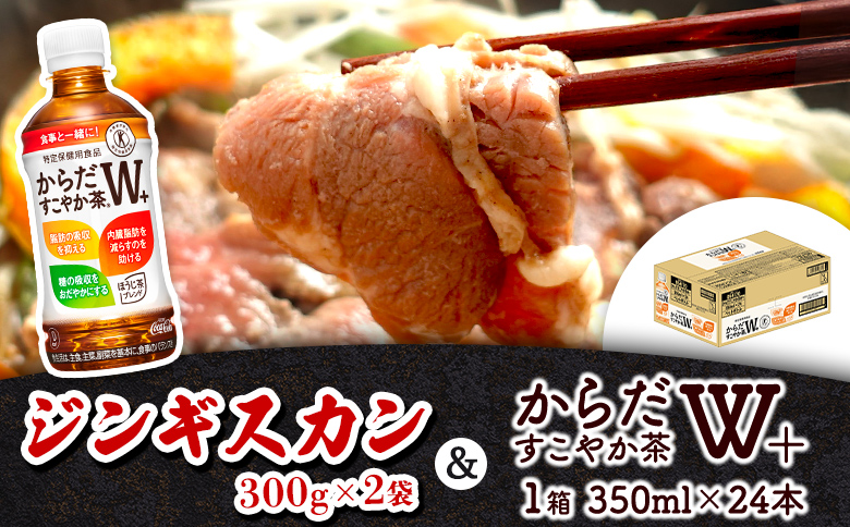 阿部精肉店 味付きジンギスカン 600g からだすこやか茶 350ml 24本 コラボ 返礼品 ラム肉 味付き 羊 羊肉 ジンギスカン お茶 茶 トクホ 特定保健用食品 健康 ふるさと納税 北海道 恵庭市 恵庭【C9900201】