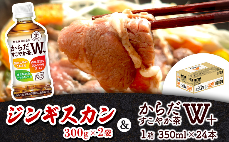 阿部精肉店 味付きジンギスカン 600g からだすこやか茶 350ml 24本 コラボ 返礼品 ラム肉 味付き 羊 羊肉 ジンギスカン お茶 茶 トクホ 特定保健用食品 健康 ふるさと納税 北海道 恵庭市 恵庭【C9900201】