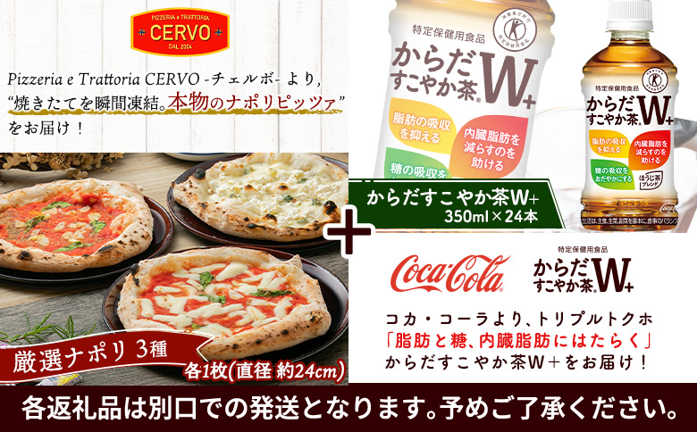 石窯ピッツァ 3枚 ナポリ3種 からだすこやか茶 350ml 24本 コラボ 返礼品 ピザ マルゲリータ クワトロフォルマッジ マリナーラ お茶 茶 トクホ 特定保健用食品 健康 ふるさと納税 北海道 恵庭市 恵庭【C99007】