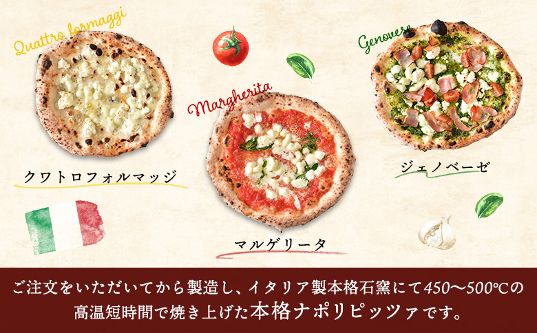 ç³çª¯ãããã¡ 3æ ãã«ã²ãªãŒã¿ ã¯ã¯ãããã©ã«ãããž ãžã§ãããŒãŒ ãµãããã¯ã©ã·ã㯠350ml 24æ¬ ã³ã©ã è¿ç€Œå ãã¶ ç³çª¯ãã¶ ãããªãããã¡ ãµãããããŒã« ãµããã ã¯ã©ã·ã㯠ããŒã« çããŒã« ãµãããšçŽçš åæµ·é æµåºåž æµåºãC99017ã