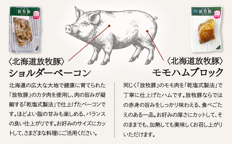「北海道放牧豚ショルダーベーコンとモモハムブロック」とトモヱベーグル「北の麦輪」18個セット | 放牧豚 ベーコン ショルダーベーコン モモハム ハム ブロックハム 乾塩式 赤身 脂控えめ カット 北の麦輪 ベーグル 小麦 天然酵母 有機食材 詰め合わせ セット ヘルシー もっちり 食感 お取り寄せ 北海道 恵庭市 恵庭【C99032】