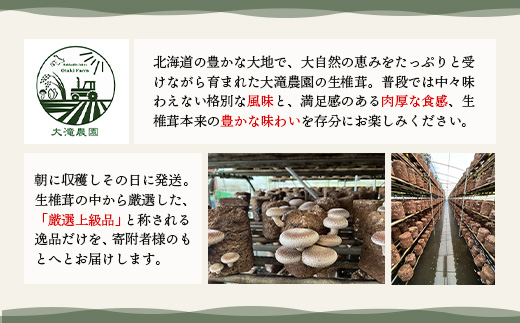 北海道恵庭産 生しいたけ 24個 830g前後 数量限定 桐箱入り オンライン 申請 ふるさと納税 北海道 恵庭 生椎茸 しいたけ 椎茸 菌床 きのこ 栄養満点 肉厚 濃厚 採れたて 野菜 ギフト 贈答用 上級品 恵庭市【800002】