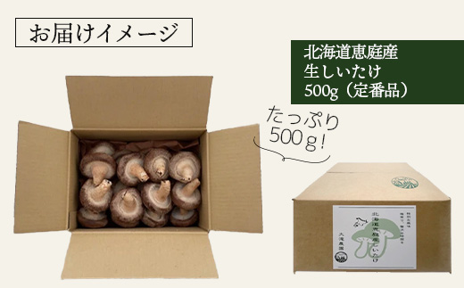 北海道恵庭産 生しいたけ 500g 20個前後 数量限定 定番品 オンライン 申請 ふるさと納税 北海道 恵庭 生椎茸 しいたけ 椎茸 菌床 きのこ 栄養満点 肉厚 濃厚 採れたて 野菜 鮮度抜群 恵庭市【800005】