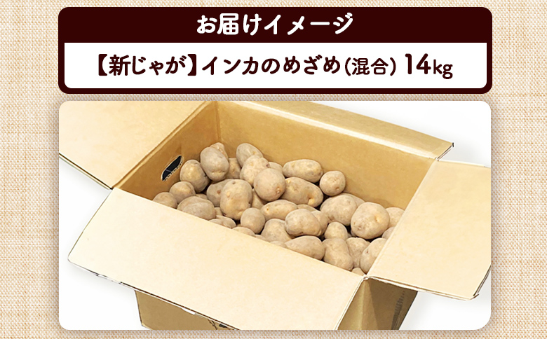 新じゃが インカのめざめ サイズ混合 14kg 芋 いも お芋 おいも オンライン 申請 ふるさと納税 北海道 恵庭 インカ じゃがいも ジャガイモ 甘い 濃厚 フライドポテト じゃがバター ポテトサラダ 根菜 野菜 恵庭市【83000101】