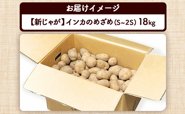 新じゃが インカのめざめ S～2Sサイズ 18kg 芋 いも お芋 おいも オンライン 申請 ふるさと納税 北海道 恵庭 インカ じゃがいも ジャガイモ 甘い 濃厚 フライドポテト じゃがバター ポテトサラダ 根菜 野菜 恵庭市【83000601】