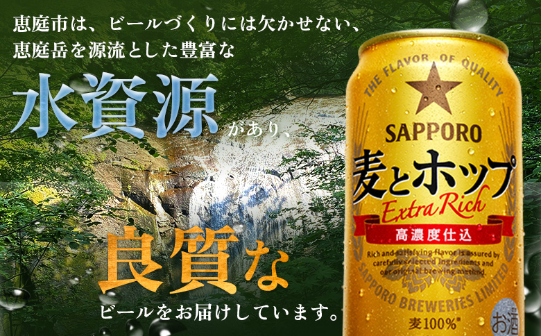 『定期便：全2回』麦とホップ 350ml×24本 | 麦とホップ 350ml 24本 定期便 2回 サッポロビール サッポロ SAPPORO sapporo beer ビールテイスト 麦 ホップ ３５０ml ２４本 サンゴー缶 素材 麦王 麦芽 大麦 大麦スピリッツ 麦100％ コク 濃いコク カラメル麦芽 うまみ麦汁製法 素材の旨味 うまい 美味しい おいしい 缶ビール ビール 家飲み パーティー 晩酌 発泡酒 お酒 酒 笹松屋 お取り寄せ 北海道 恵庭市 恵庭【880110041902】