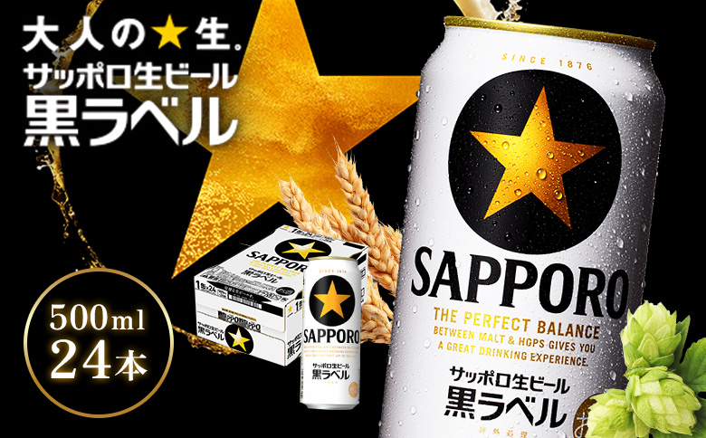 サッポロ黒ラベル500ml×24本 | サッポロ黒ラベル 黒ラベル サッポロ サッポロビール ビール 生ビール お酒 アルコール 北海道醸造 麦芽 うまみ 後味 爽やか 泡 鮮度 お取り寄せ 北海道 恵庭市 恵庭【930050013】
