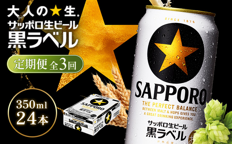 【定期便全3回】サッポロ黒ラベル350ml×24本 | サッポロ黒ラベル 黒ラベル サッポロ サッポロビール ビール 生ビール お酒 アルコール 北海道醸造 麦芽 うまみ 後味 爽やか 泡 鮮度 お取り寄せ 北海道 恵庭市 恵庭【930040111903】