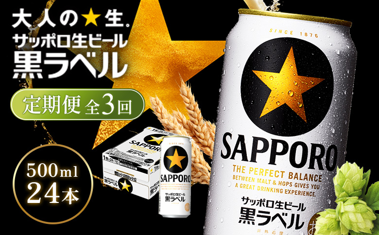 【定期便全3回】サッポロ黒ラベル500ml×24本 | サッポロ黒ラベル 黒ラベル サッポロ サッポロビール ビール 生ビール お酒 アルコール 北海道醸造 麦芽 うまみ 後味 爽やか 泡 鮮度 お取り寄せ 北海道 恵庭市 恵庭【930050113903】