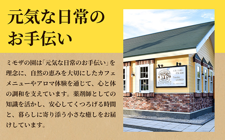 【定期便：全3回】自家製コーヒー豆 ドリップバック10個入×3セット | 定期便 お試し コーヒー ドリップ 少量パック 自家焙煎 ギフト 手軽 本格 高品質 ミル不要 おすすめ 贈り物 ギフト お歳暮 リピート　お取り寄せ 北海道 恵庭市 恵庭【A20034】