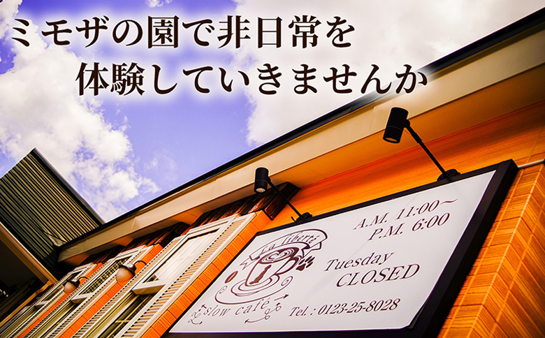 【定期便：全7回】自家製コーヒー豆 ドリップバック10個入×3セット | 定期便 お試し コーヒー ドリップ 少量パック 自家焙煎 ギフト 手軽 本格 高品質 ミル不要 おすすめ 贈り物 ギフト お歳暮 リピート　お取り寄せ 北海道 恵庭市 恵庭【A20038】