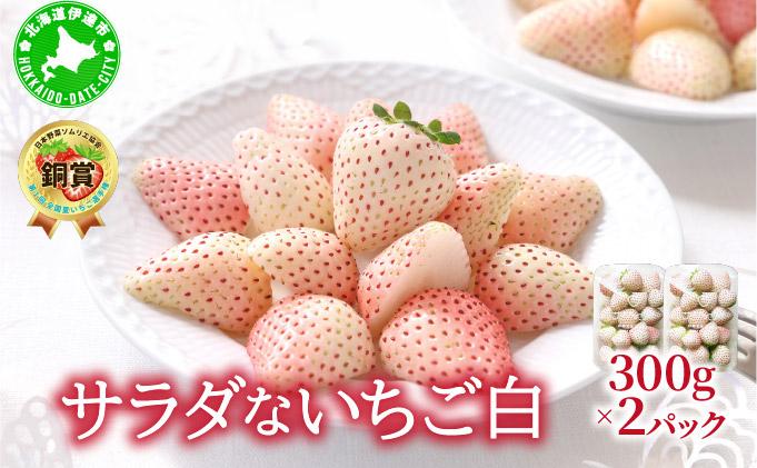＜2026年先行予約＞ サラダないちご（白）ご褒美 苺 最旬 贈答 ギフト プレゼント 果物 フルーツ イチゴ 北海道 伊達【ecg-001】