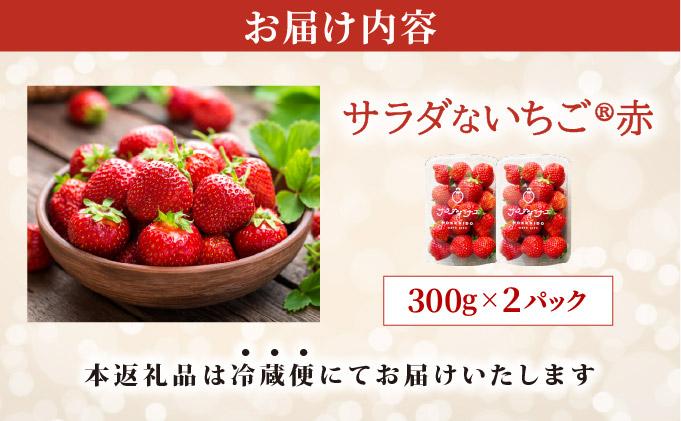 ïŒ2026幎å
è¡äºçŽïŒ ãµã©ããªãã¡ãïŒèµ€ïŒãè€çŸ èº ææ¬ èŽç ã®ãã ãã¬ãŒã³ã æç© ãã«ãŒã ã€ããŽ åæµ·é äŒéãecg-002ã