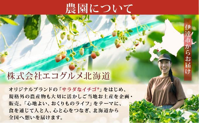 ïŒ2026幎å
è¡äºçŽïŒ ãµã©ããªãã¡ãïŒèµ€ïŒãè€çŸ èº ææ¬ èŽç ã®ãã ãã¬ãŒã³ã æç© ãã«ãŒã ã€ããŽ åæµ·é äŒéãecg-002ã