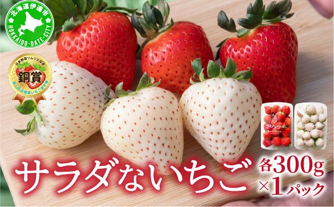 ＜2026年先行予約＞ サラダないちご（赤・白）ご褒美 苺 最旬 贈答 ギフト プレゼント 果物 フルーツ イチゴ 北海道 伊達【ecg-003】