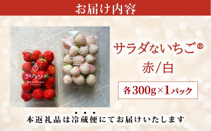 ＜2026年先行予約＞ サラダないちご（赤・白）ご褒美 苺 最旬 贈答 ギフト プレゼント 果物 フルーツ イチゴ 北海道 伊達【ecg-003】
