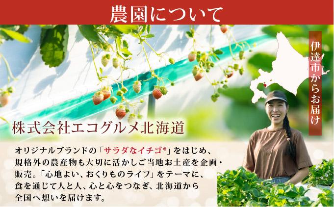 ＜2026年先行予約＞ サラダないちご（赤・白）ご褒美 苺 最旬 贈答 ギフト プレゼント 果物 フルーツ イチゴ 北海道 伊達【ecg-003】