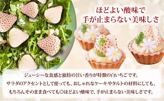 ＜2026年先行予約＞ サラダないちご（赤・白）ご褒美 苺 最旬 贈答 ギフト プレゼント 果物 フルーツ イチゴ 北海道 伊達【ecg-003】