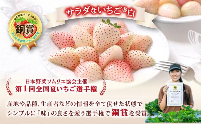 ＜2026年先行予約＞ サラダないちご（赤・白）ご褒美 苺 最旬 贈答 ギフト プレゼント 果物 フルーツ イチゴ 北海道 伊達【ecg-003】