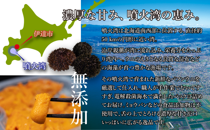 北海道 噴火湾産 塩水 バフンウニ 100g 2パック 計200g うに ウニ 雲丹 海鮮 海の幸 魚介類 ウニ丼 お寿司 濃厚 無添加 産地直送 お取り寄せ 山村水産 送料無料