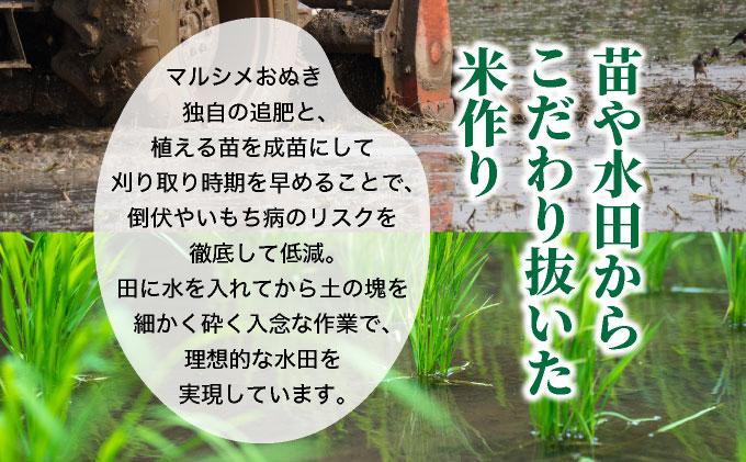 ◆R7年産◆ JGAP認証【おぬきさん家のゆめぴりか】10kg(5kg×2)  [ 3ヶ月定期便 ] ≪北海道伊達産≫ maru-006