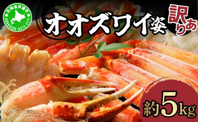オオズワイ姿（訳あり品）5kg｜かに カニ ズワイガニ オオズワイ【ysk-003】