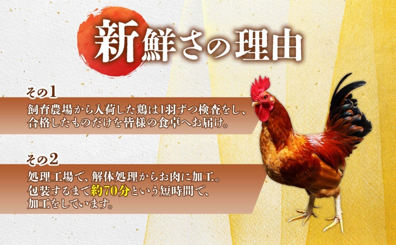 特製ザンギ 250g×20パック 計5kg 唐揚げ 鶏 鳥 肉 鶏肉 若鶏 国産 もも肉 モモ肉 鶏もも チキン 肉汁 ジューシー から揚げ ザンギ 冷凍 小分け おかず 総菜 お弁当 時短 簡単 便利 産地直送 お取り寄せ ご当地 グルメ プライフーズ 送料無料 北海道 伊達