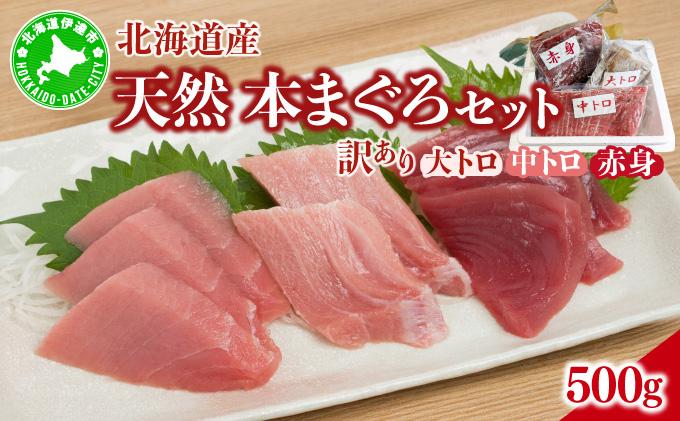 北海道産本マグロ（大トロ・中トロ・赤身）訳ありセット 500g【ogm-024】
