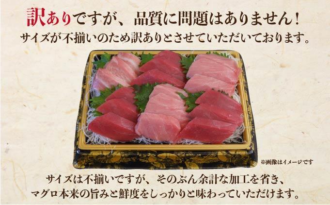 北海道産本マグロ（大トロ・中トロ・赤身）訳ありセット 500g【ogm-024】