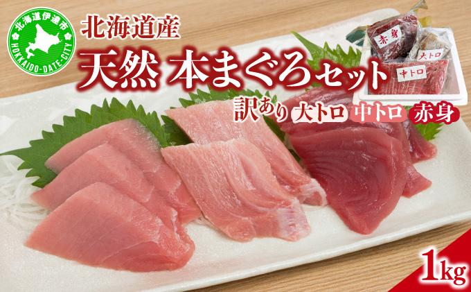 北海道産本マグロ（大トロ・中トロ・赤身）訳ありセット 1kg【ogm-025】