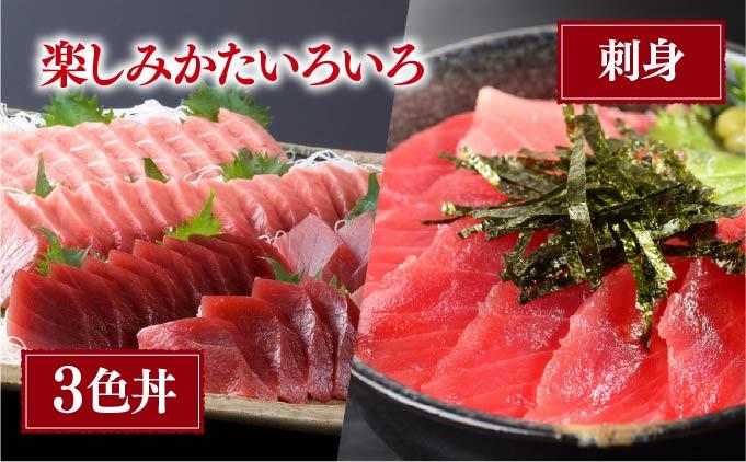 北海道産本マグロ（大トロ・中トロ・赤身）訳ありセット 1kg【ogm-025】