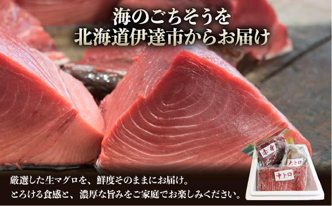 北海道産本マグロ（大トロ・中トロ・赤身）訳ありセット 1kg【ogm-025】