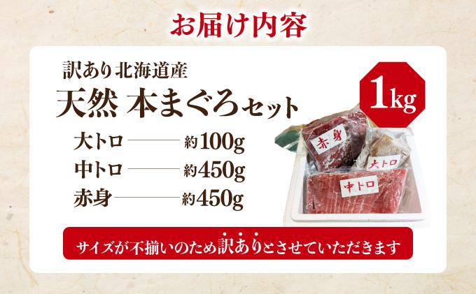 北海道産本マグロ（大トロ・中トロ・赤身）訳ありセット 1kg【ogm-025】