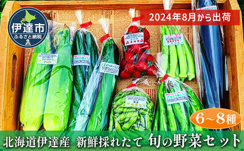 6ヵ月 定期便】 北海道 伊達市 とうや 卵 鉄 40個 入り たまご|JAL