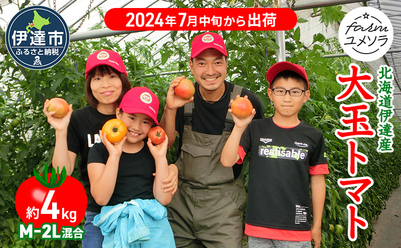 ◆2024年7月から順次出荷◆ farmユメソラ 大玉 トマト 約4kg