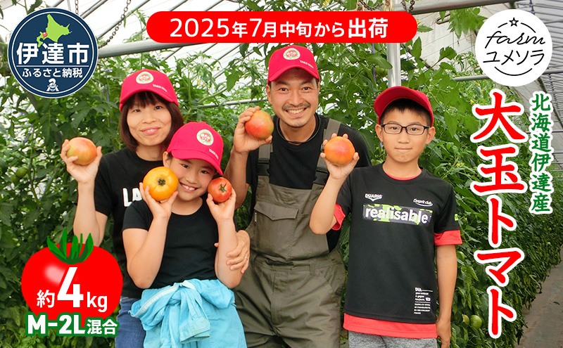 ◆2025年7月から順次出荷◆ farmユメソラ 大玉 トマト 約4kg