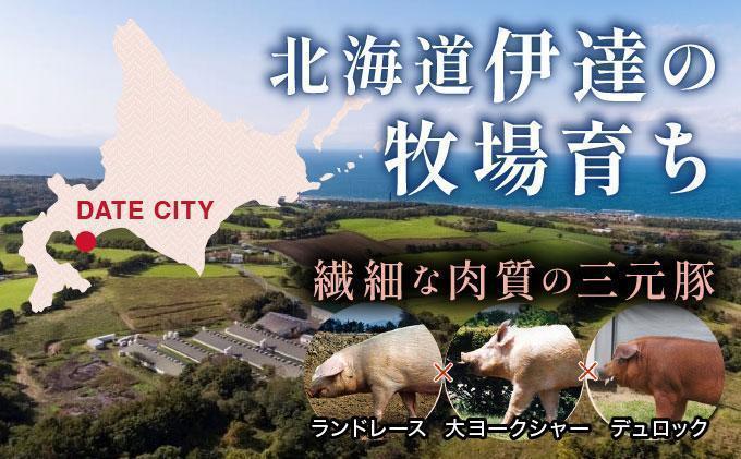 ＜4月発送＞＜黄金豚＞ブランドポーク 北海道 豚ひき肉 あら挽き 200g 30パック 計6kg | 伊達産 黄金豚 三元豚 ミンチ 挽肉 お肉 小分け ハンバーグ 餃子 カレー 大矢 オオヤミート 冷凍 送料無料 ooy-004-2604